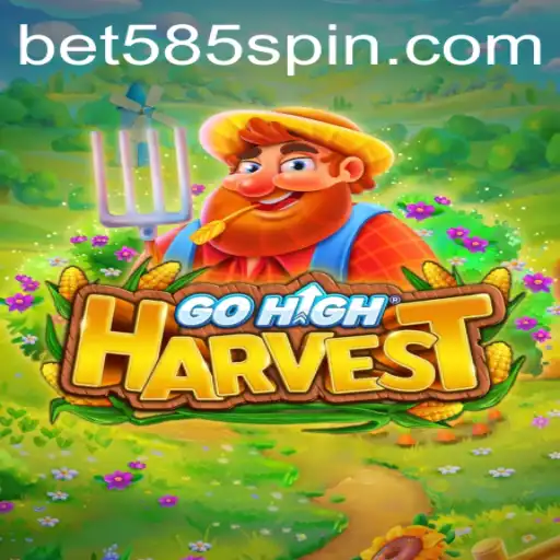 BET585 Casino App